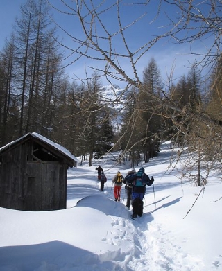  Guías de Alta Badia Raquetas de nieve 